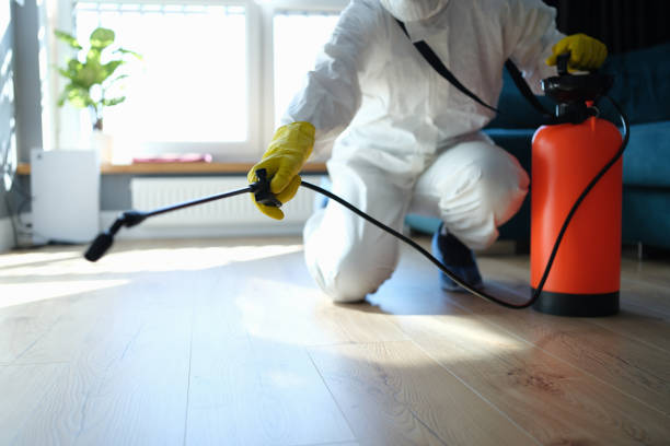 Reliable Odor Removal contractor in Mount Vernon, MO by Trauma Clean Pros